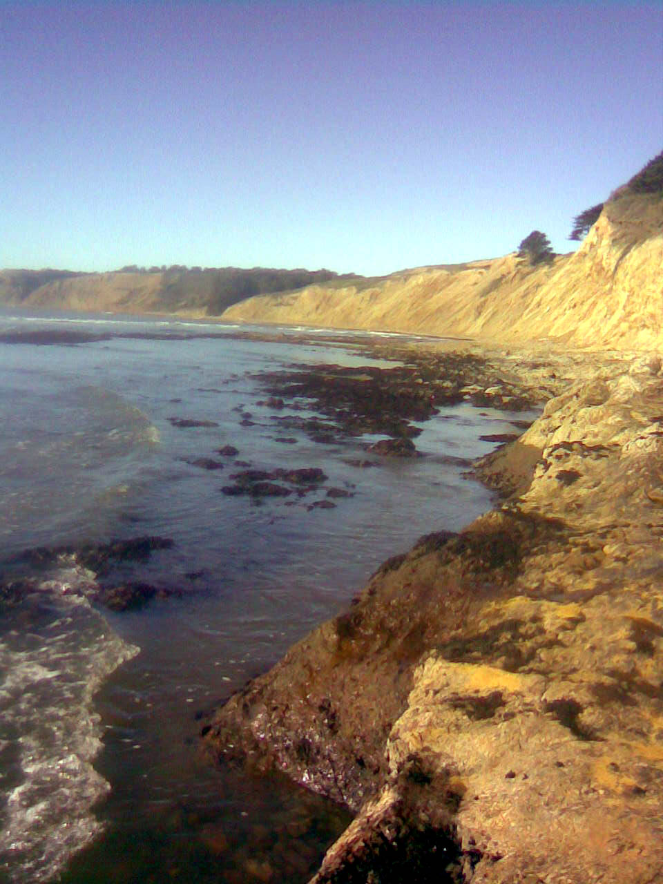 Duxbury Reef Bolinas California